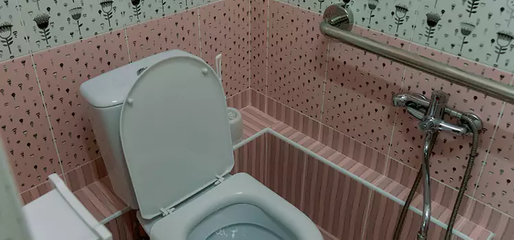 Meeting Diverse Needs With Accessible Restroom Solutions in Kissimmee, FL