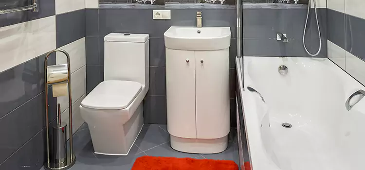 Hansgrohe Shaving Mirror Kissimmee